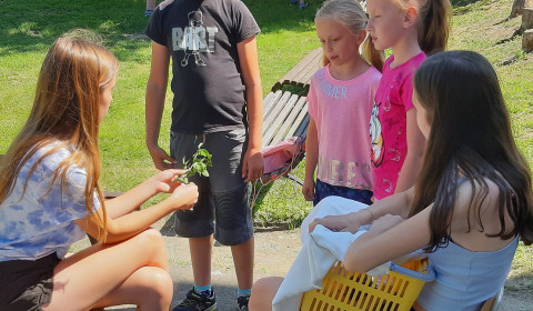 skupinové foto dětí