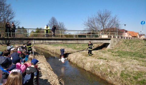 IMG_20220323_103418_01