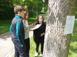 Soutěž zlatý list