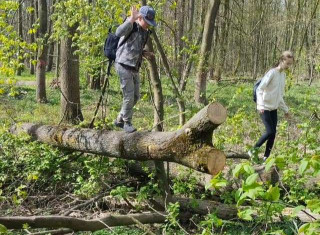 434463475_920842150050743_6997399882281913810_n