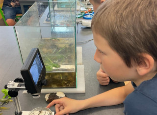 436368871_927164456085179_711376604466365260_n