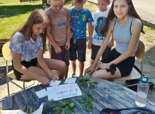 skupinové foto dětí