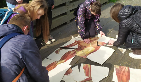 438822309_937343758400582_3914407385596976016_n