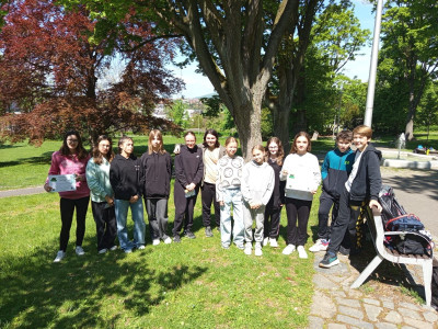 Soutěž zlatý list