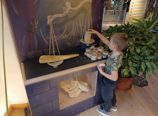 465593887_1080830847385205_823971053265965856_n