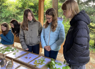 regionální kolo soutěže