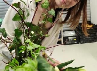 floristická soutěž