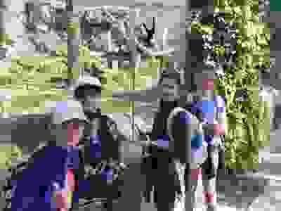 441457599_945100330958258_7383163299424879006_n