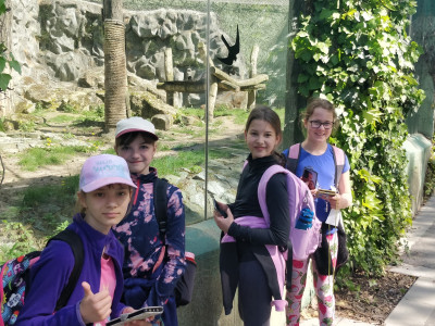 441457599_945100330958258_7383163299424879006_n