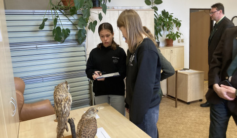 místní kolo soutěže