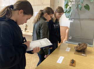 místní kolo soutěže