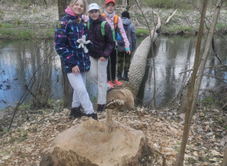 Litovelské Pomoraví