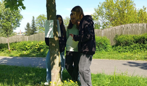 Soutěž zlatý list