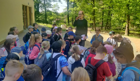 440974871_945100224291602_219694923901190394_n