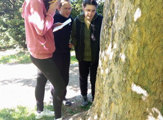 Soutěž zlatý list