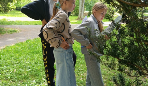 Soutěž zlatý list