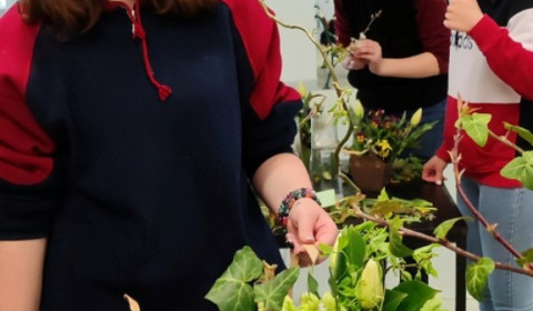 floristická soutěž