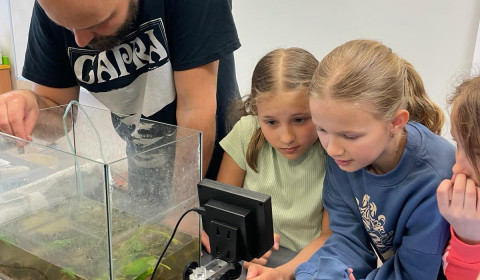 437080241_927164446085180_2397244599948505569_n