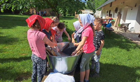 352151462_715603197241307_4152894679172090438_n